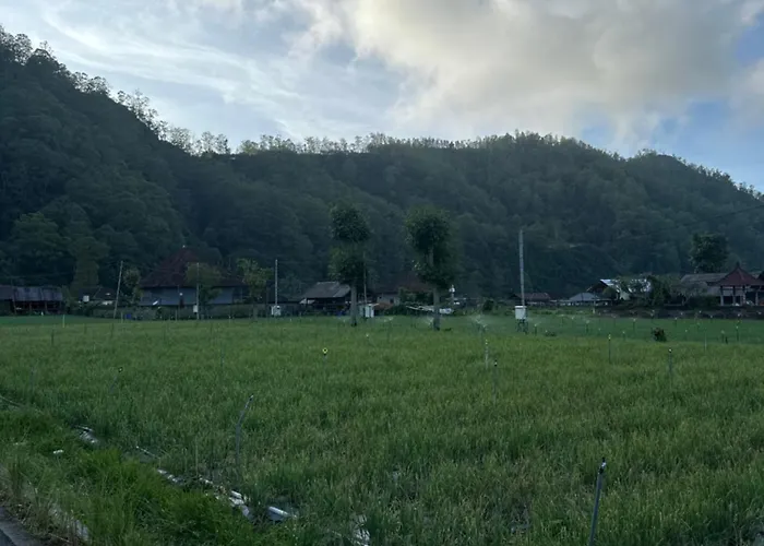 Heaven House Kintamani
